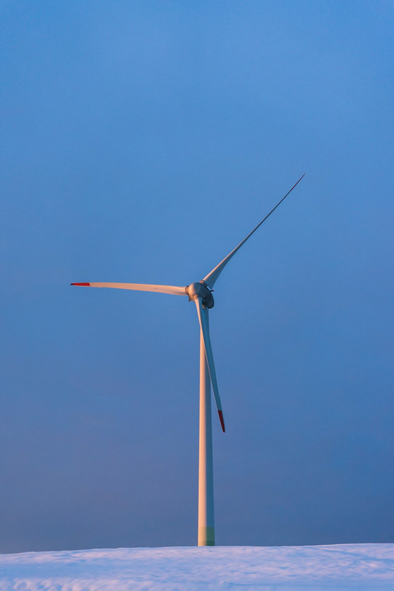 wind turbine