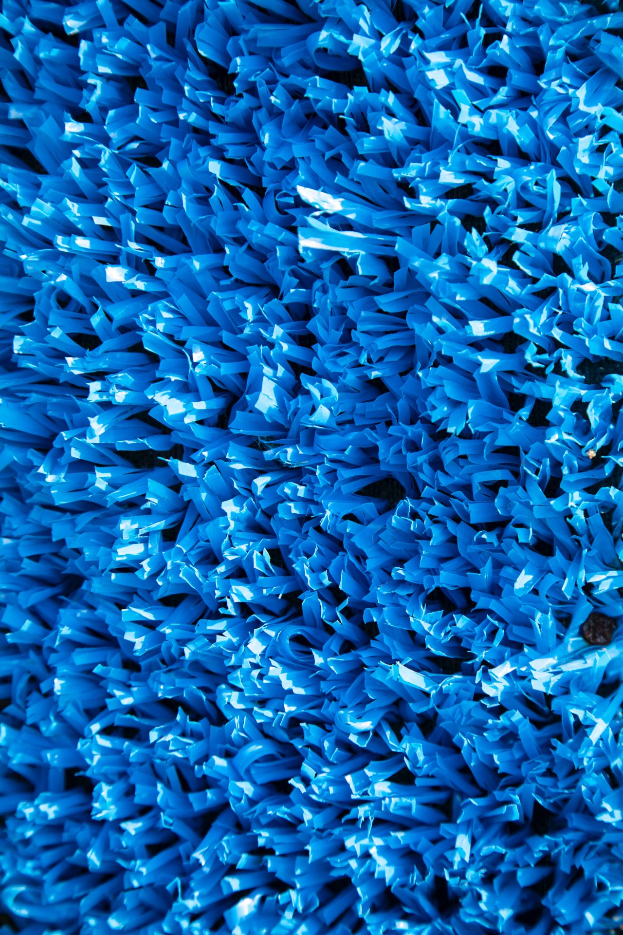 blue plastic fibers